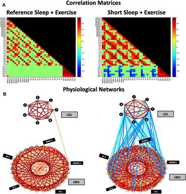 Effects of Acute Partial Sleep Deprivation and High-Intensity Interval Exercise on Postprandial Network Interactions